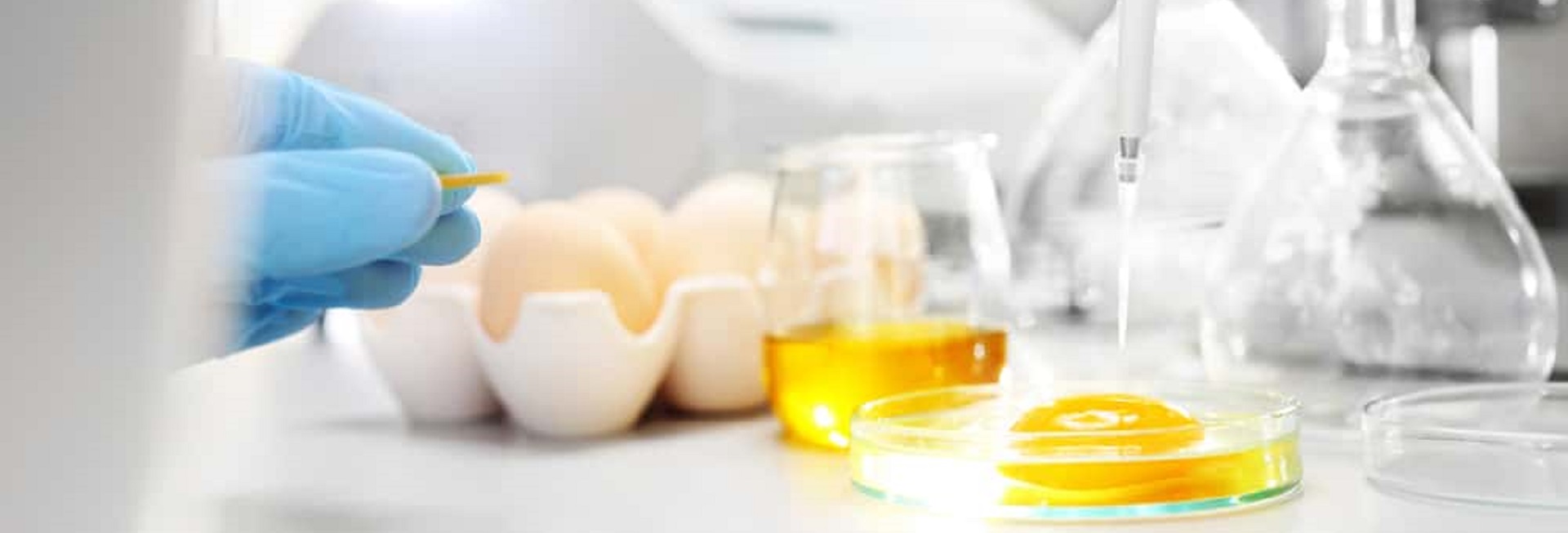 Food industry